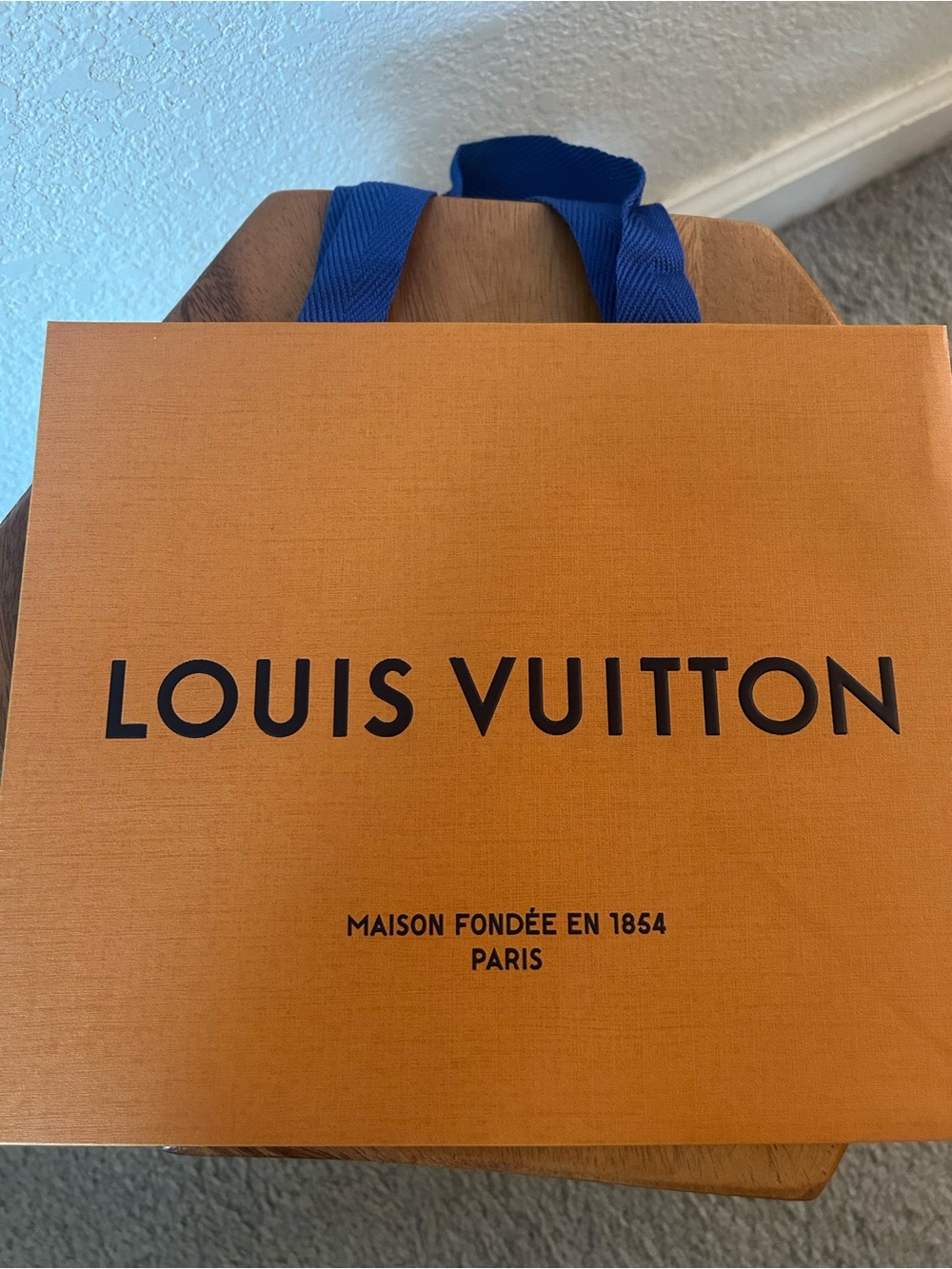 Louis Vuitton Gift Shopping Bag